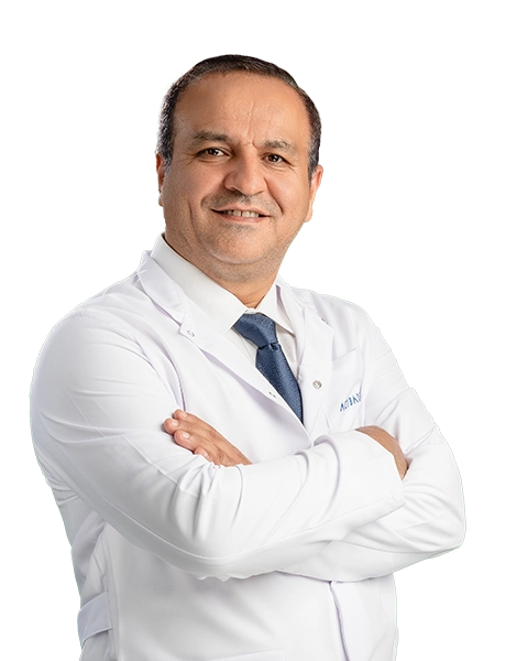 Hamed Jafarzadeh Andabil