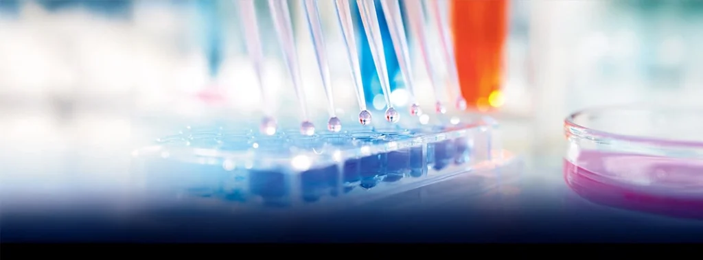 Bone Marrow Transplants: Transforming Leukemia Treatment