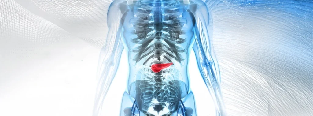 Latest Therapies for Pancreatic Tumors