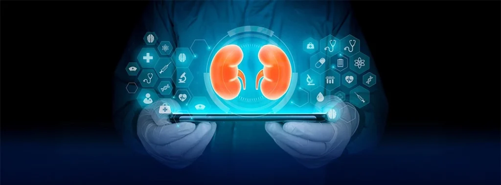 The Journey of a Kidney Transplant