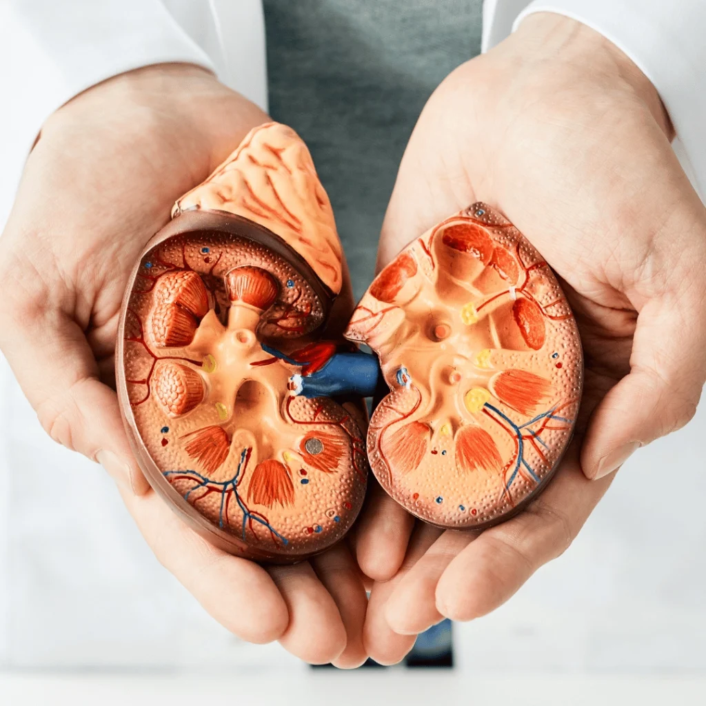 Kidney Cancer Treatment in Turkey: An Overview