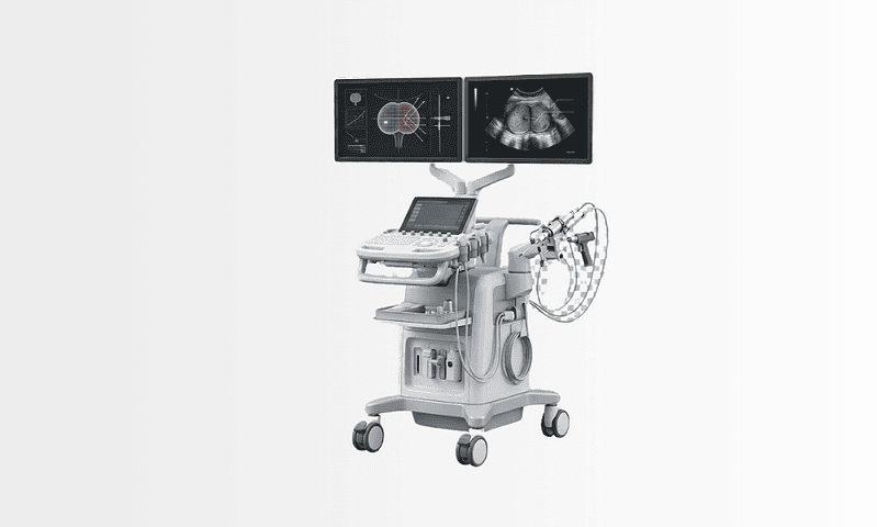 3d prostate biopsy navigation