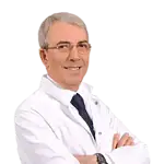 Prof. Dr. A. Bülent Oktay