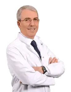 Prof. Dr. A. Bülent Oktay