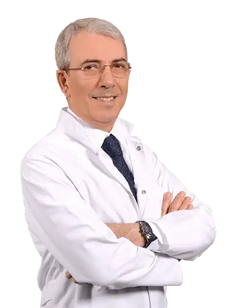 A. Bülent Oktay 10 Prof. Dr. A. Bülent Oktay
