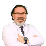Prof. Dr. Ahmet Demirkaya
