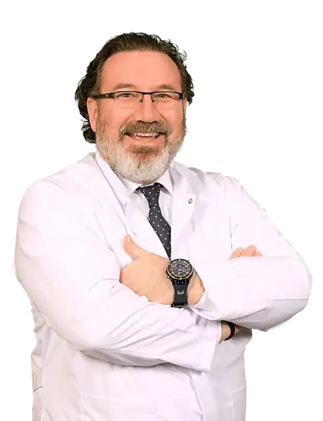 Prof. Dr. Ahmet Demirkaya