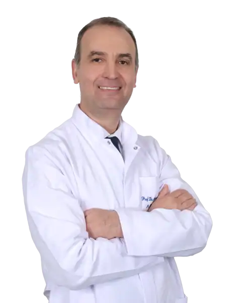 Ahmet Kaya Bilge 10 Prof. Dr. Ahmet Kaya Bilge
