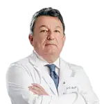 Prof. Dr. Alp Demireller