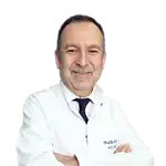 Prof. Dr. Alp Yentür