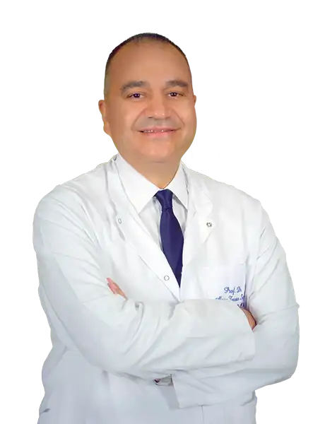Prof. Dr. Alpay Turan Sezgin