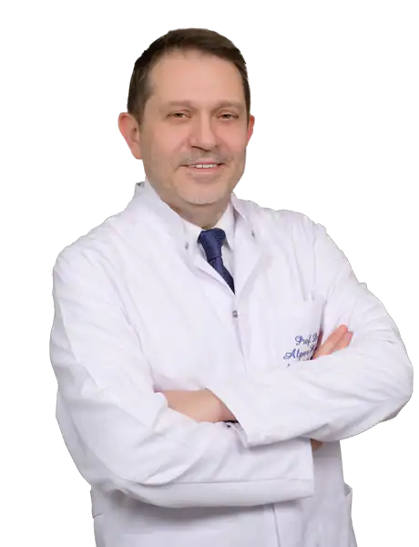 Prof. Dr. Alper Kaya