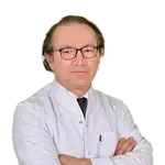 Prof. Dr. Ayhan Çevik