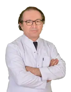 Prof. Dr. Ayhan Çevik