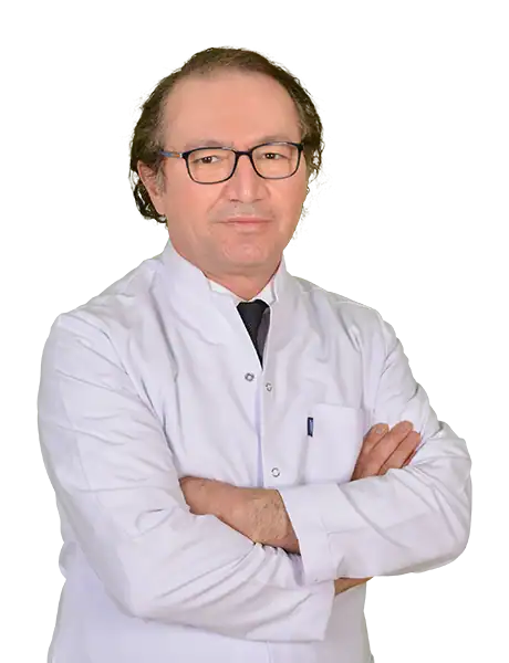 Prof. Dr. Ayhan Çevik