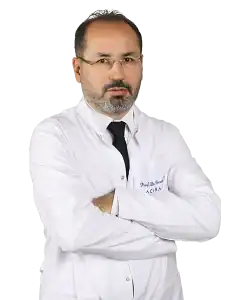 Prof. Dr. Burak Akan