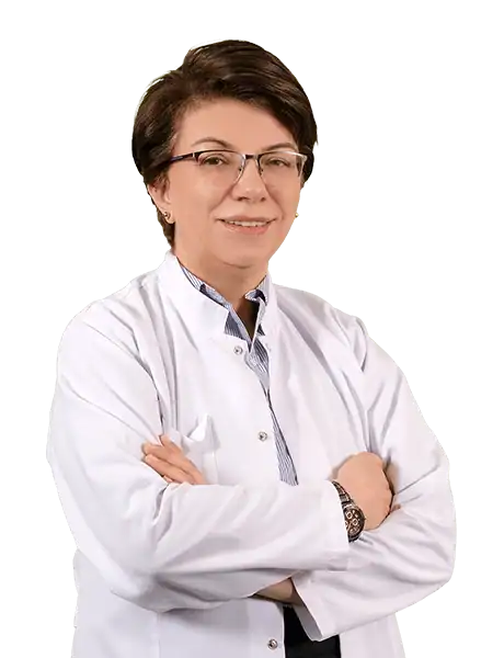 Dr. Deniz Erden