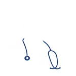Dr. Şelale Doğan