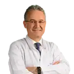 Prof. Dr. Ergün Seyfeli
