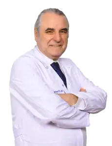 Prof. Dr. Fuat Demirel