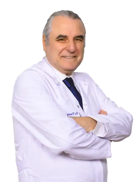 Prof. Dr. Fuat Demirel
