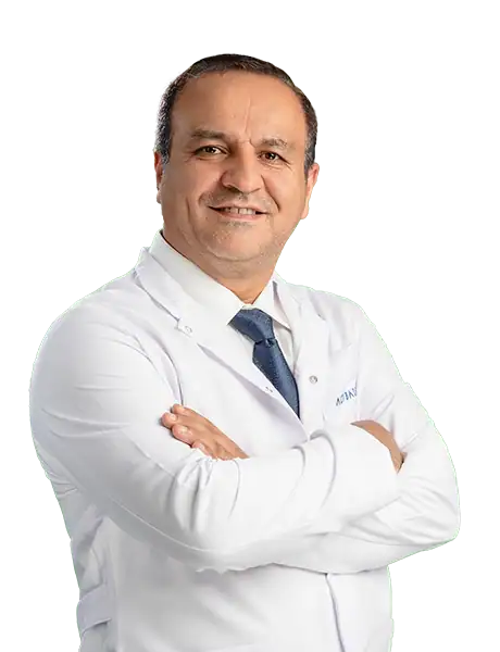 Dr. Hamed Jafarzadeh Andabil