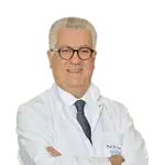 Prof. Dr. Levent Erişen