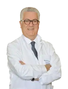 Prof. Dr. Levent Erişen