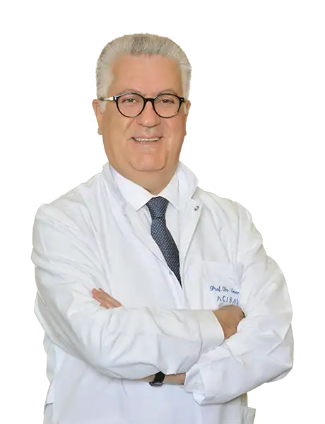 Prof. Dr. Levent Erişen