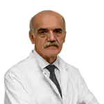 Prof. Dr. Lütfi Özkan