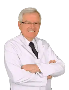 Prof. Dr. Mehdi S. Öğüt