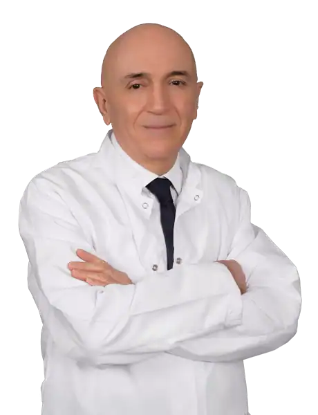 Prof. Dr. Mehmet Ada