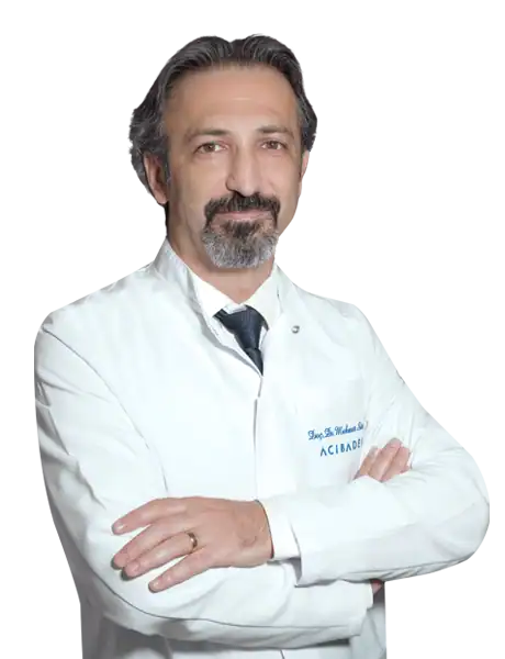 Assoc. Prof. Dr. Mehmet Sürmeli