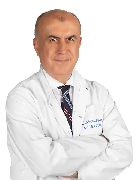 Prof. Dr. Mehmet Temel Yilmaz
