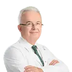 Prof. Dr. Namik Demir