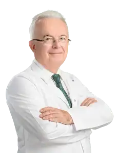 Prof. Dr. Namik Demir