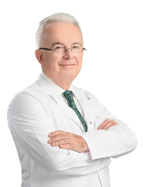 Prof. Dr. Namik Demir