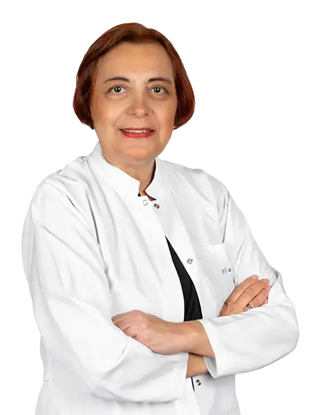 Assoc. Prof. Dr. Songül Meltem Can