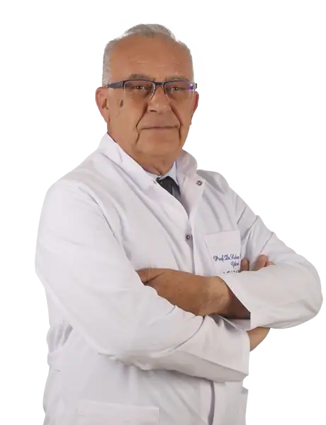 Prof. Dr. Hakan Murat Göksel