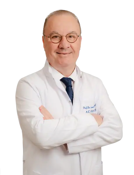 İsmail Mete İtil 8 Prof. Dr. İsmail Mete İtil